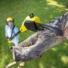 Best Pest Control for Lawns  in Simpson, PA