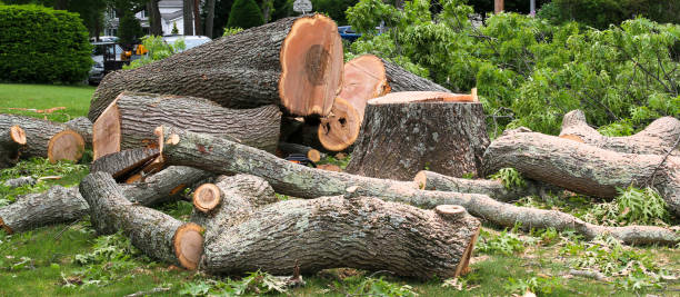 Best Hazardous Tree Removal  in Simpson, PA