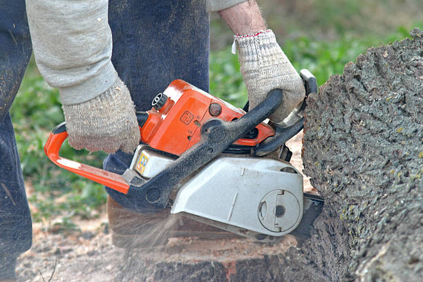 Lawn Maintenance Plans in Simpson, PA