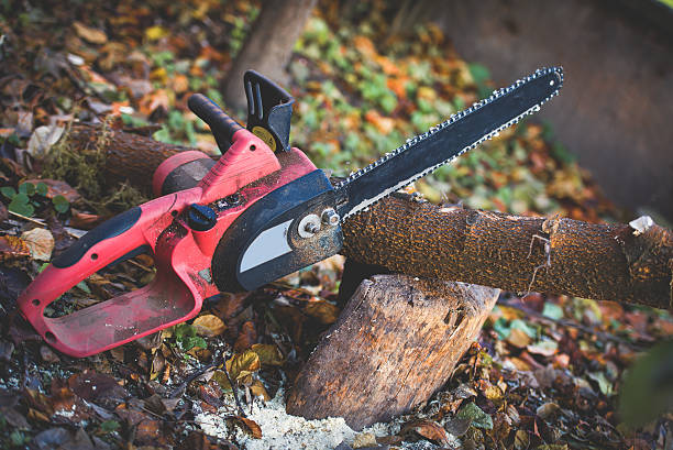 Best Tree Trimming and Pruning  in Simpson, PA